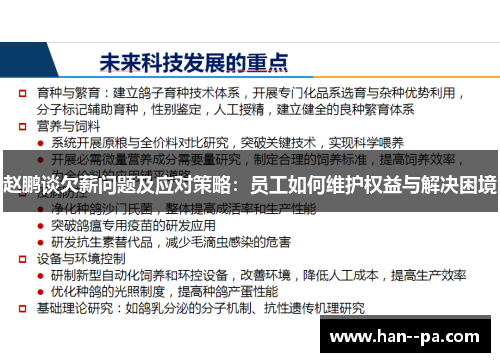 赵鹏谈欠薪问题及应对策略：员工如何维护权益与解决困境