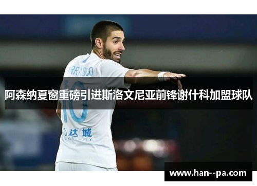 阿森纳夏窗重磅引进斯洛文尼亚前锋谢什科加盟球队 阿森纳夏窗重磅引进斯洛文尼亚前锋谢什科加盟球队
